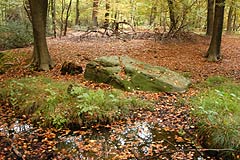 Die Kirchheller Heide gehört zum Naturpark Hohe Mark und steht unter Naturschutz.